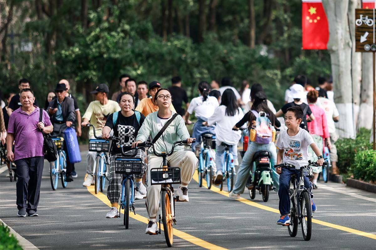 国际利发娱乐